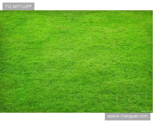 新建设的巴里足球场将采用混合草皮,主打快速比赛条件 新建设的巴里足球场将采用混合草皮,主打快速比赛条件